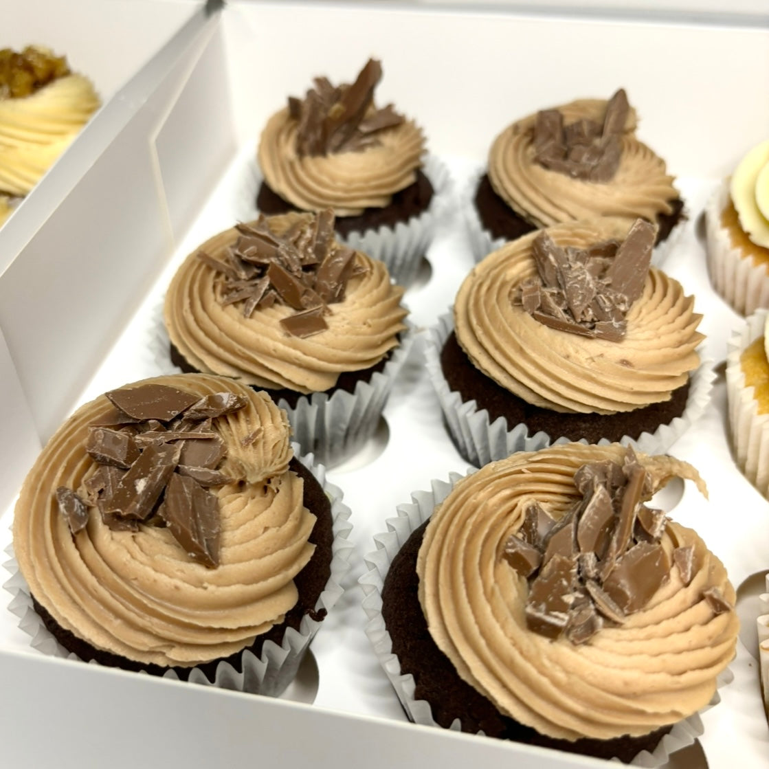 Chocolate Cupcake